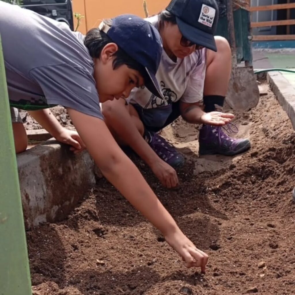 26 de abril 2025 | Huerto urbano en la Población Caupolicán