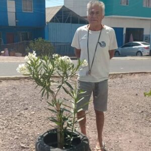 Registro de como la comunidad participa en la plantación y cuidado de áreas verdes en la Población Caupolicán.